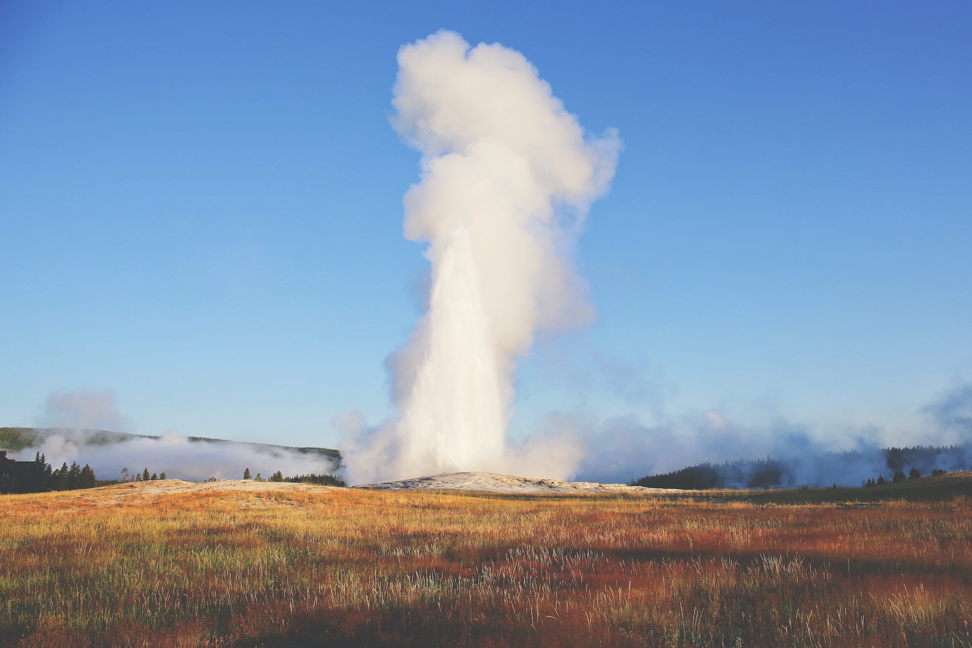 Yellowstone Line – Steep Mountain Tea