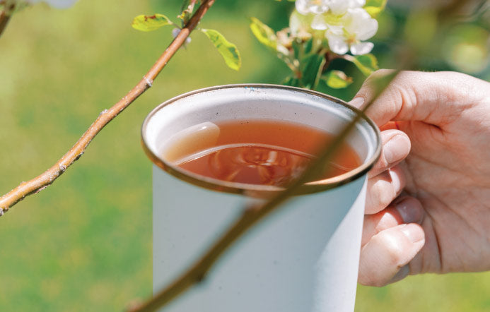 Spring Favorites – Steep Mountain Tea