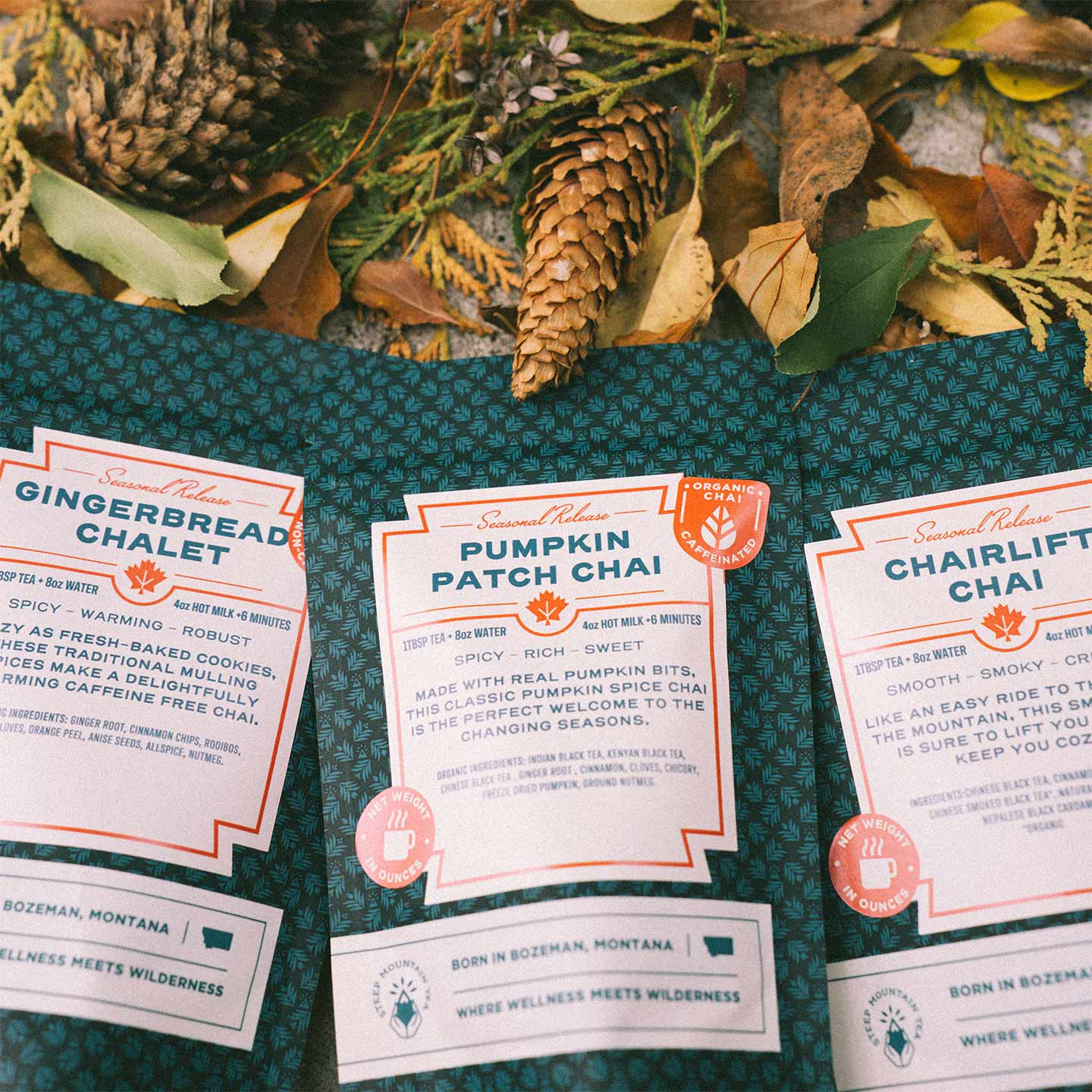 Seasonal Chai 3 Pack