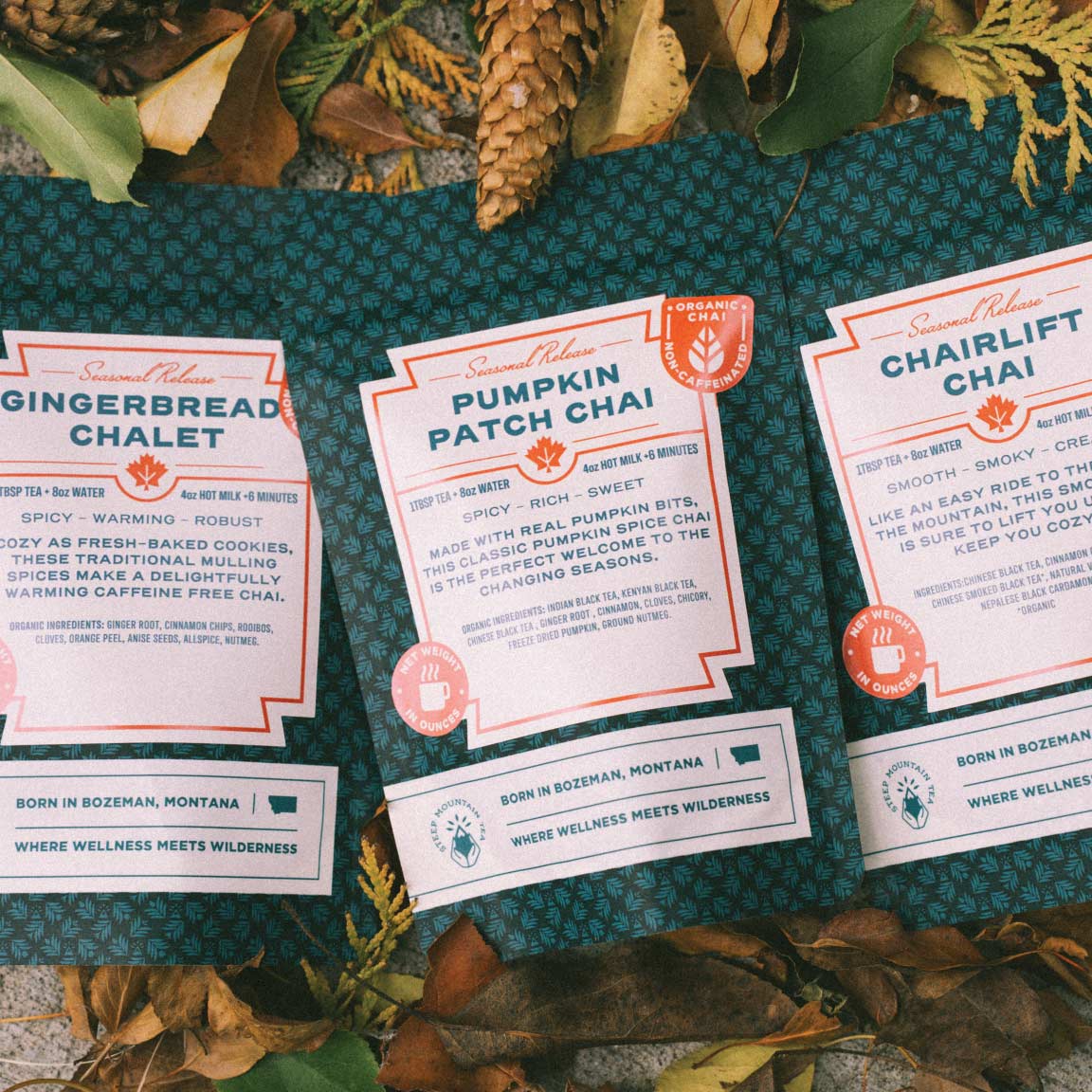 Seasonal Chai 3 Pack